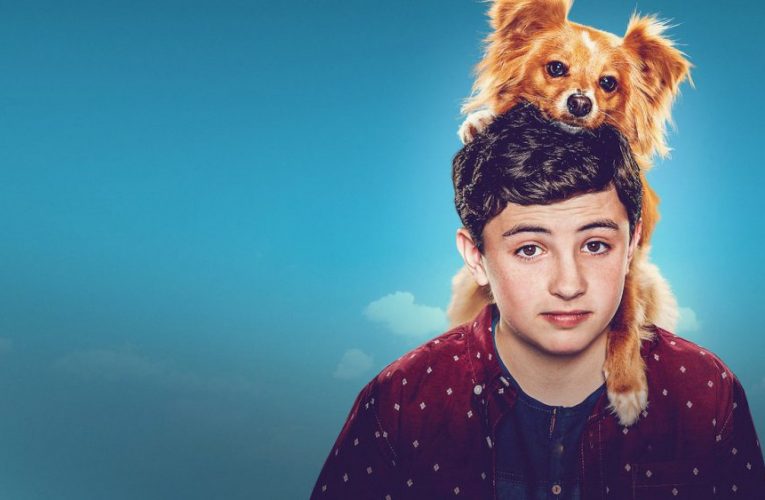 ‘The Healing Power of Dude’ Season 2: Has Netflix Canceled or Renewed?