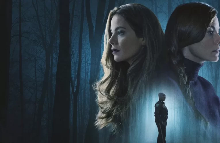 New Movies and Shows on Netflix: August 19th, 2022