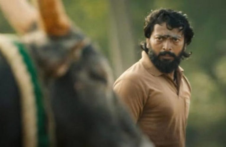 Pettaikaali trailer:- Vetrimaaran presents a prelude to his Vaadivaasal