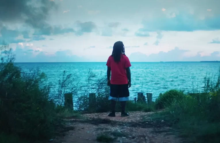 Should you watch ‘Descendant’ on Netflix? Review of the Documentary