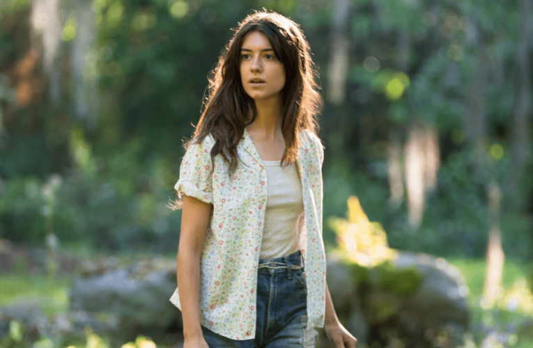 Best New Movies on Netflix This Week: November 19th-20th, 2022
