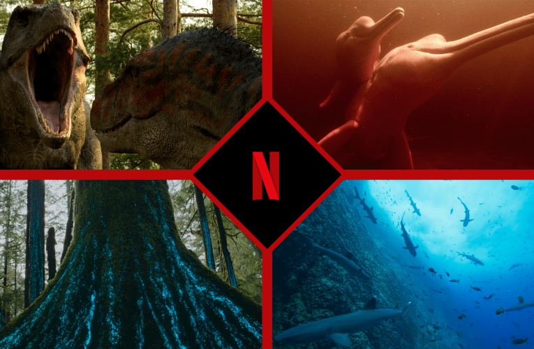 Nature Documentaries Coming to Netflix in 2023 and Beyond