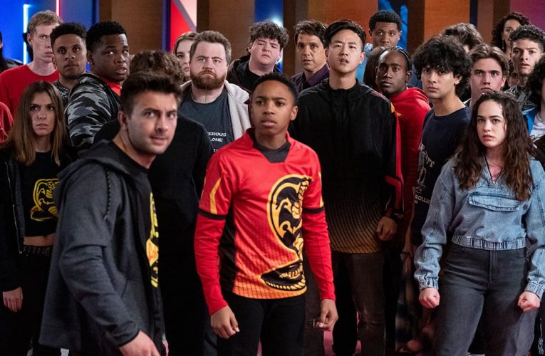Cobra Kai Season 6: Netflix Release Date Estimate & What We Know So Far