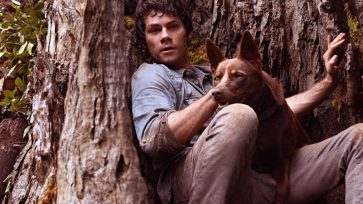 Best New Movies and TV Shows Added to Netflix This Week: December 16-17, 2023