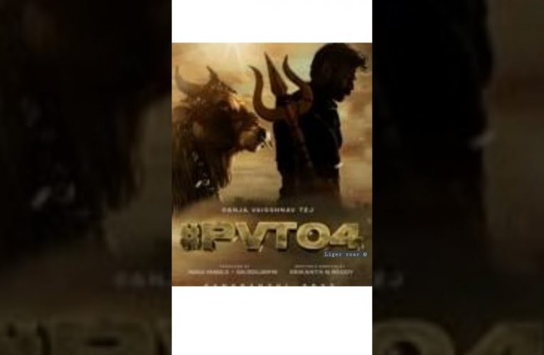 PVT04 movie poster