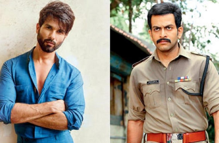 Have you heard. Another south remake for Shahid Kapoor