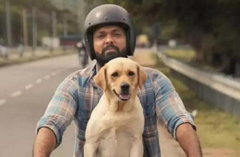 777 Charlie starts streaming on Voot Select, Rakshit Shetty is ‘excited to bring it to a larger audience’