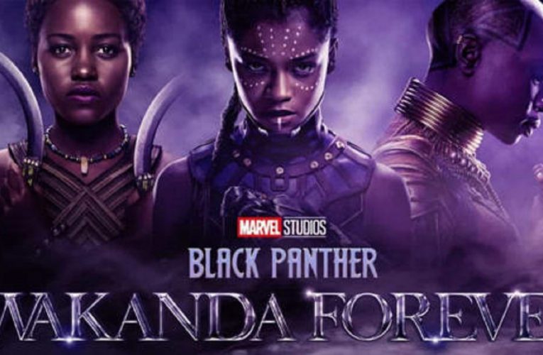 ‘Black Panther Wakanda Forever’ Lego set reveals who’s the new Black Panther
