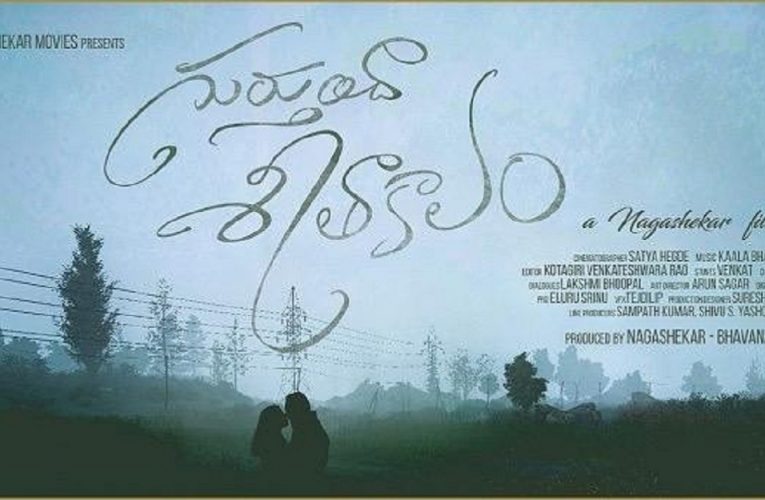 Gurtundha Seetakalam new movie