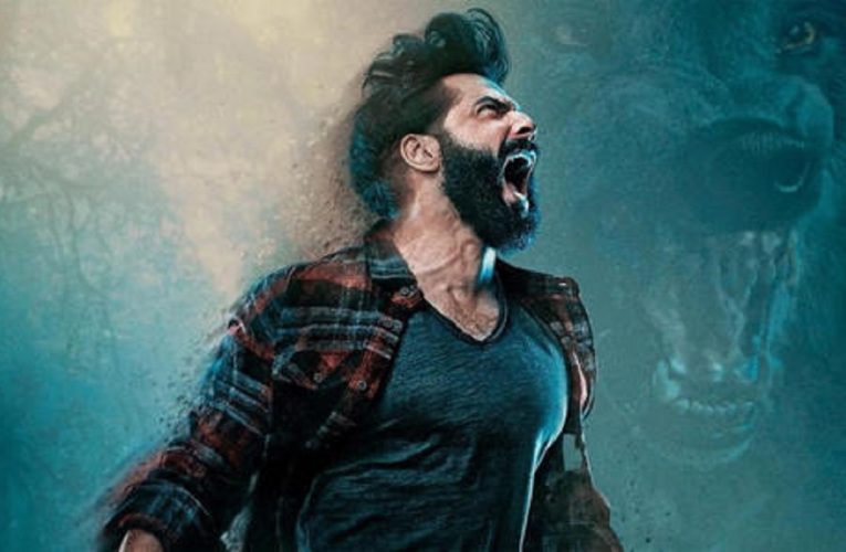 Despite tough competition from Drishyam 2, Varun Dhawan-Kriti Sanon’s Bhediya earns Rs 28 crore in first weekend