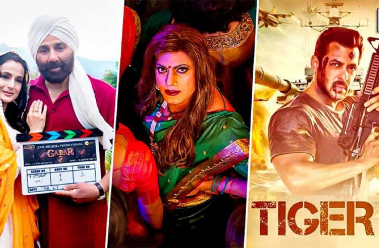 Gadar 2 To Tiger 3, Exciting Films Releasing in 2023
