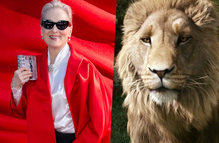 Meryl Streep Confirmed to Voice Aslan In ‘Narnia: The Magician’s Nephew’ for Netflix